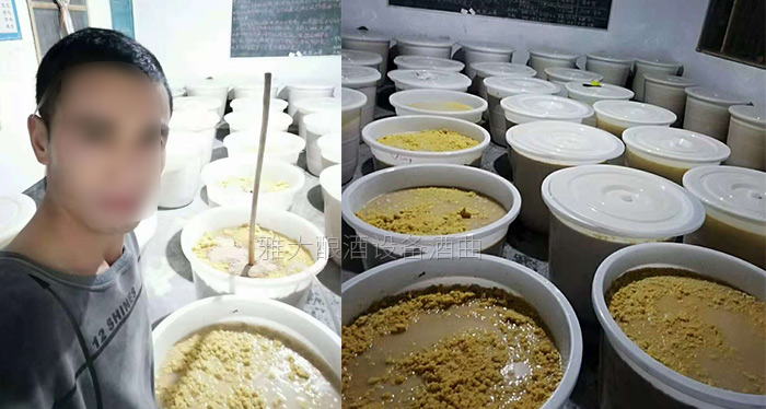玉米釀酒設(shè)備做的生料玉米酒口感真的有那么差么？-05-玉米生料釀酒