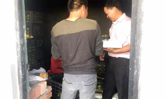 滯銷，長相難看的百香果，用蒸汽釀酒設(shè)備做酒再也不爛！-04廠房建設(shè)中7