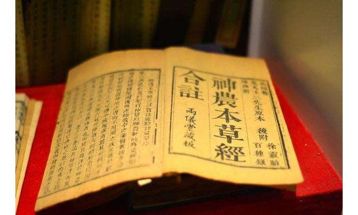 蒼耳對(duì)治療鼻炎，鼻竇炎有一定的效果