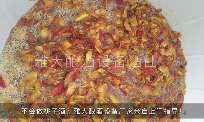 28-不會做桃子酒？雅大釀酒設(shè)備廠家親自上門指導(dǎo)！2