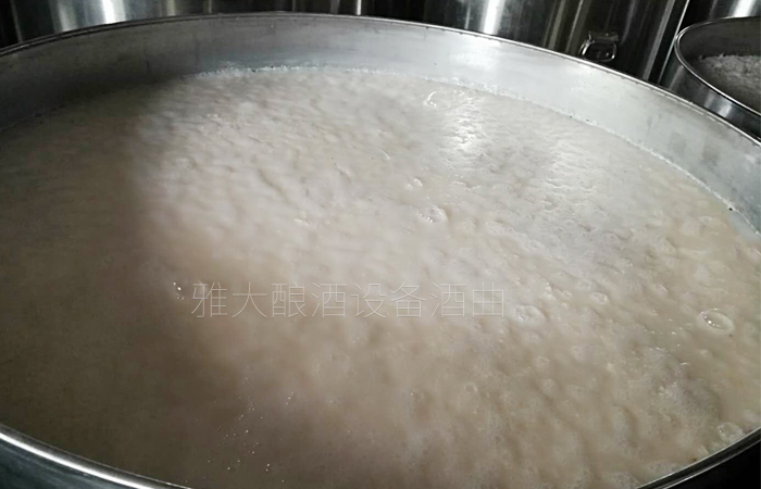 不銹鋼全自動釀酒設(shè)備做大米酒發(fā)酵中