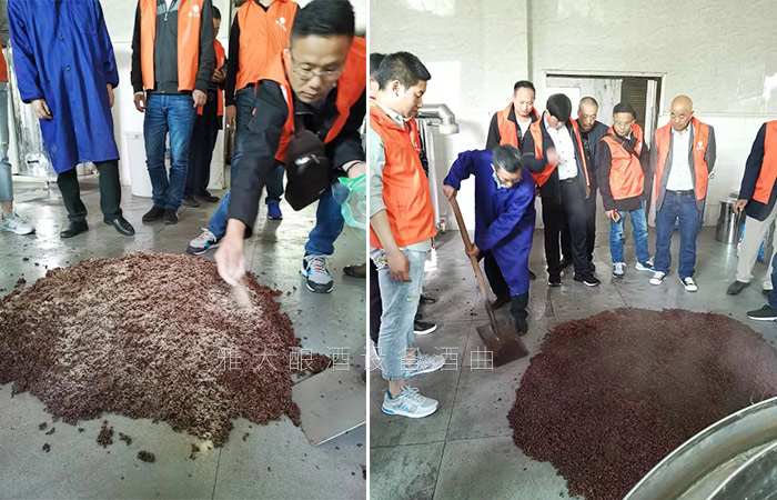 在雅大釀酒車間親自動手實(shí)際操作釀酒