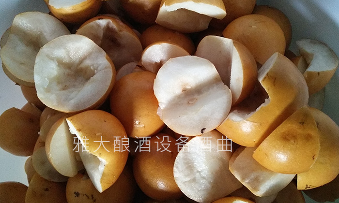 6-幾張圖帶您親臨雅大釀酒設(shè)備梨子酒實(shí)操教學(xué)現(xiàn)場(chǎng)-梨子釀酒方法2