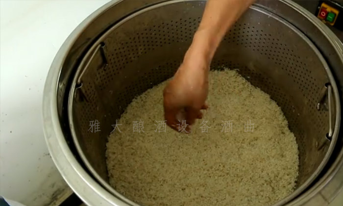 8.10-8步教您用小型酒廠釀酒設備釀造紅薯酒，純實操！3