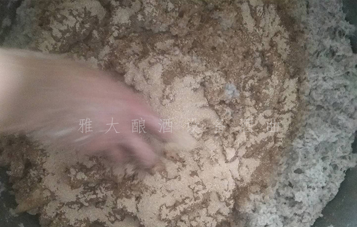 18.11-農(nóng)村又一波野果朝我們奔來，趕緊用釀酒設(shè)備白酒將它們釀成酒吧！4