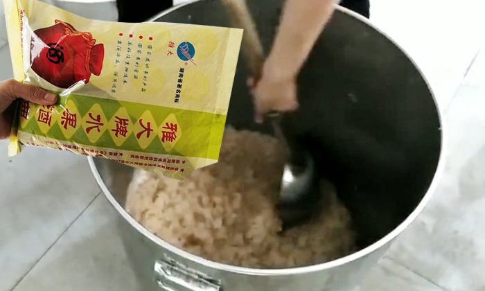 6-純實操！雅大大型釀酒設備釀酒師教泰國華裔制作龍眼酒2加酒曲