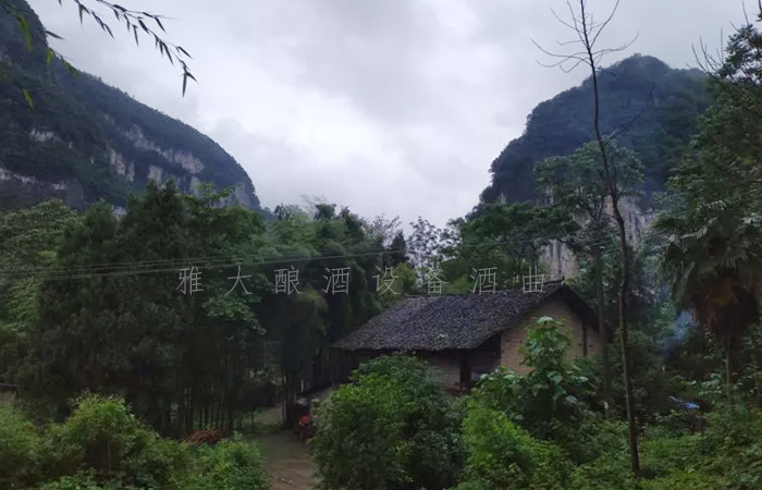 8.25-兵哥哥用雅大制酒設(shè)備釀出湄江招牌旅游產(chǎn)品，月凈賺3萬1