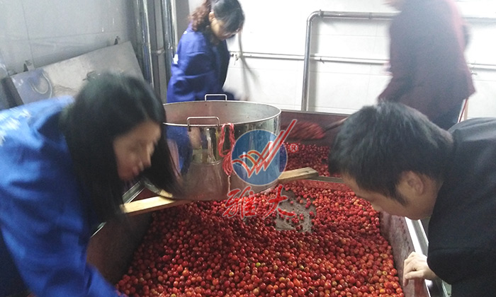將海棠果清洗干凈、瀝干水份
