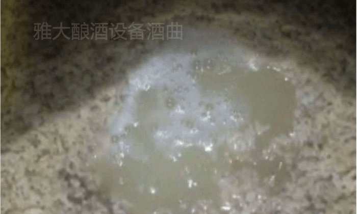 大米半固態(tài)發(fā)酵，沒(méi)加水前酒液就很豐富7