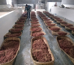 引進大型釀酒設備，用“釀”奏響脫貧致富的時代樂章