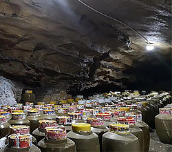 引進(jìn)大型釀酒設(shè)備，酒旅融合，依托溶洞優(yōu)勢資源打造特色洞藏酒