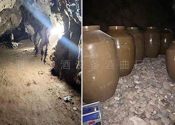 水田村引進中型釀酒設備釀酒養(yǎng)豬，強村富民促振興