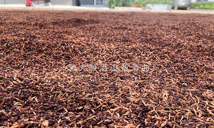 夏季釀酒衛(wèi)生指南：6招鎖死雜菌，保障口感與出酒率！ 6