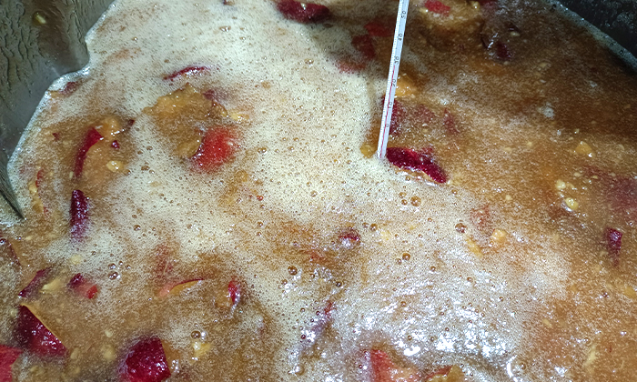 夏季水果大豐收！便宜水果釀成酒，好喝又好賣，趕緊抓住商機(jī)！ 8