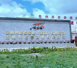 貴州苦蕎飄香，釀出鄉(xiāng)村振興“家鄉(xiāng)味道”